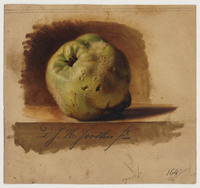 TvB T 501
<br/>
Peer
<br/>
<em>Joosten, Dirk Jan Hendrik (1818-1882)</em>